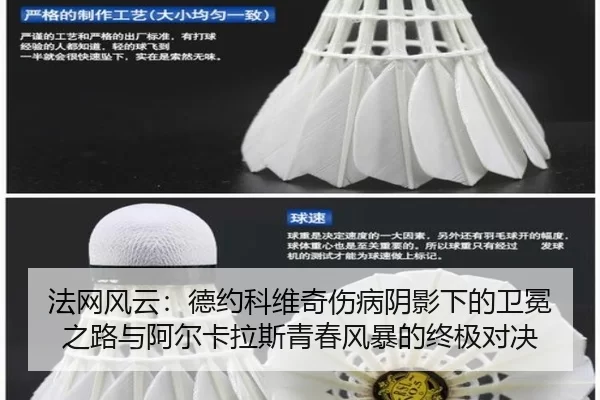 法网风云：德约科维奇伤病阴影下的卫冕之路与阿尔卡拉斯青春风暴的终极对决