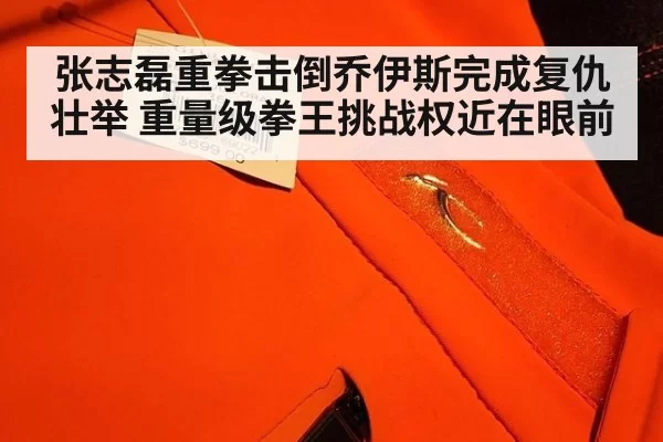 张志磊重拳击倒乔伊斯完成复仇壮举 重量级拳王挑战权近在眼前