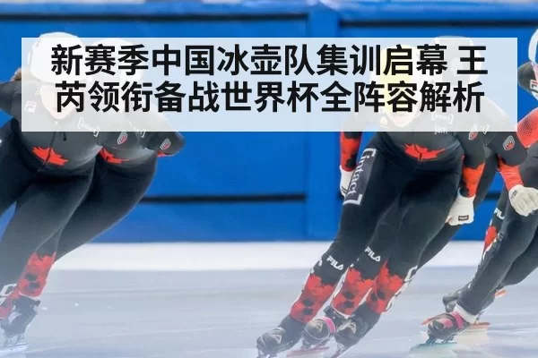 新赛季中国冰壶队集训启幕 王芮领衔备战世界杯全阵容解析